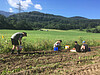 Farmhopping