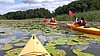 Mecklenburgische Seenplatte