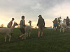 Farmhopping