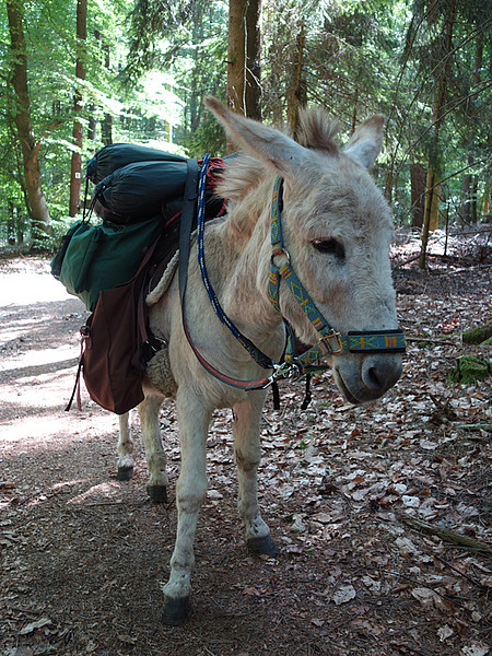 Eseltrekking