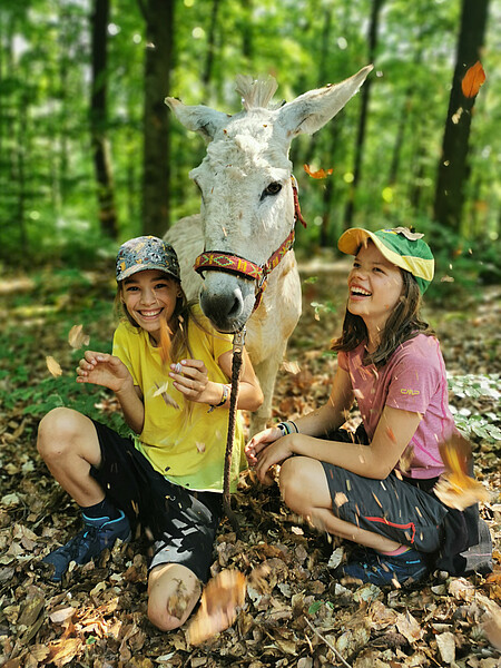 Eseltrekking Pfingsten