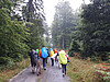 Eseltrekking Sommer