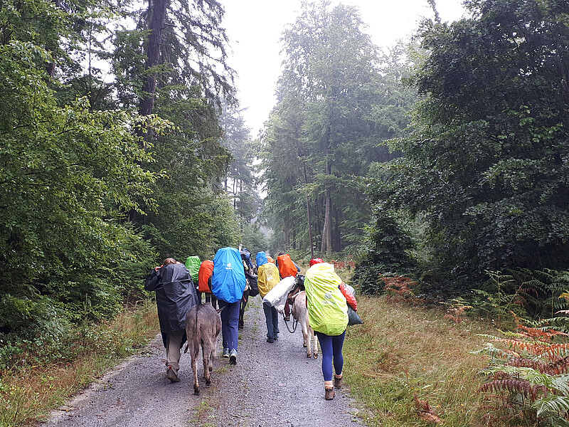 Eseltrekking Sommer