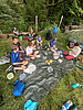 Eselterekking Sommer