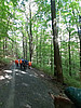 Eseltrekking Sommer