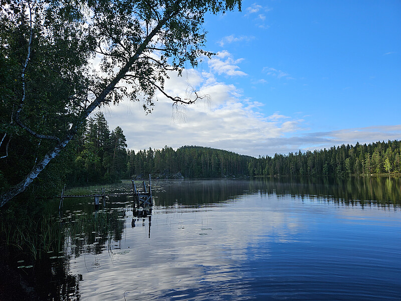 Schweden Total