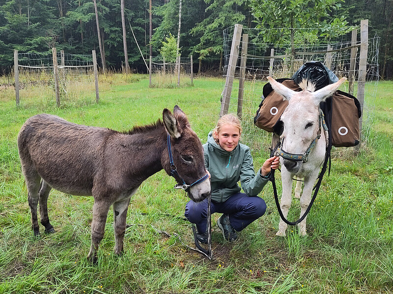 Eseltrekking Sommer