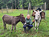 Eseltrekking Sommer
