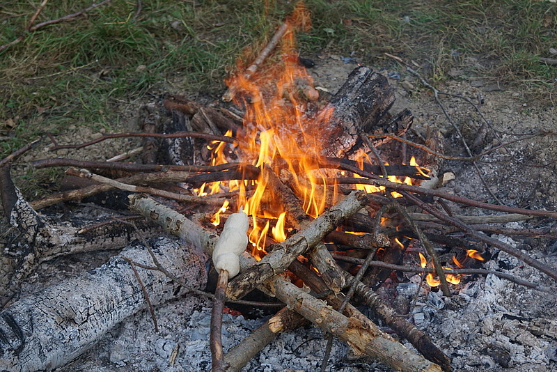 Raus in die Natur