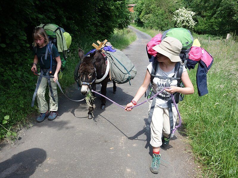 Eseltrekking