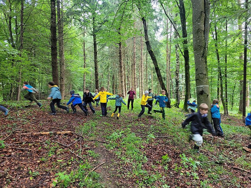 Zeltferien auf dem Bauernhof