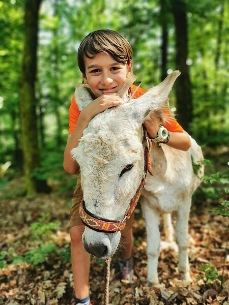 Eseltrekking Pfingsten