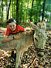 Eseltrekking Pfingsten