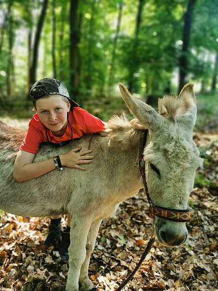 Eseltrekking Pfingsten