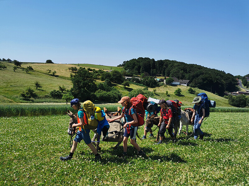 Eseltrekking Pfingsten