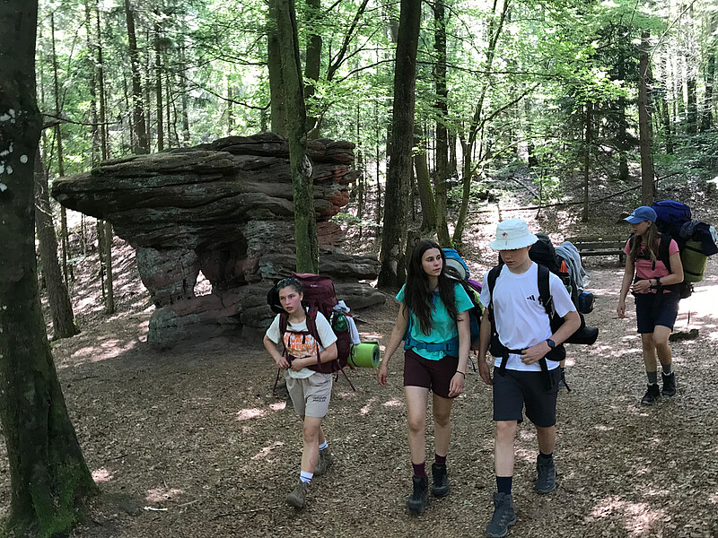 Pfälzerwald Trekking