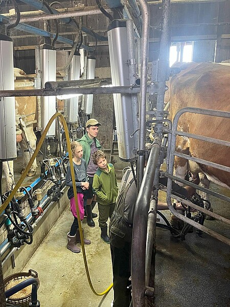 Zeltferien auf dem Bauernhof