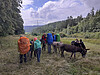 Eseltrekking Sommer