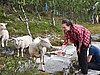 Norwegen Trekking