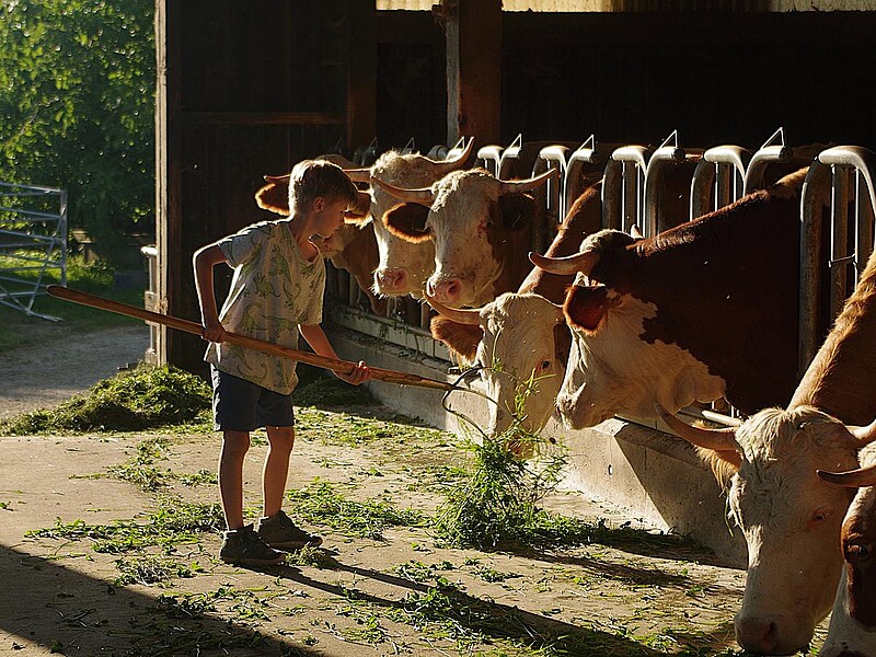 Zeltferien auf dem Bauernhof