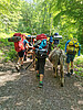 Eseltrekking Pfingsten