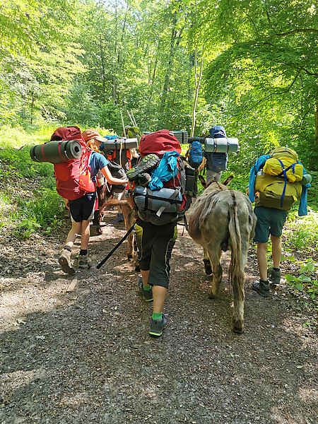 Eseltrekking Pfingsten