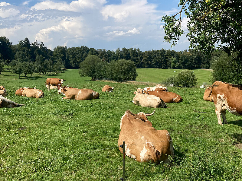 Zeltferien auf dem Bauernhof