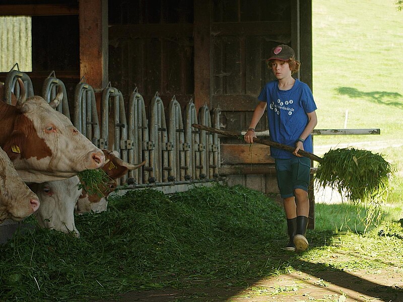 Zeltferien auf dem Bauernhof