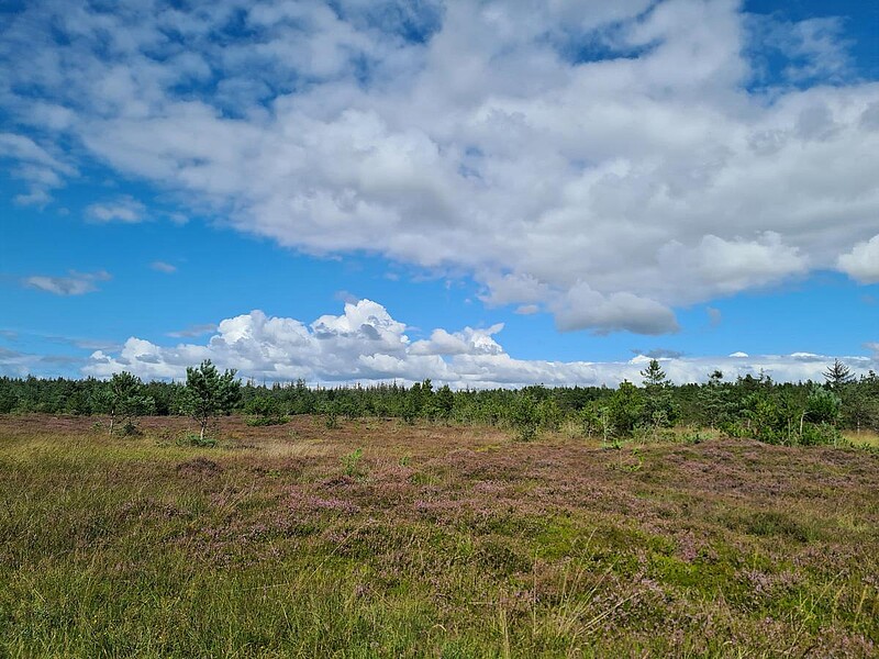 Mit dem Rad durch Dänemark