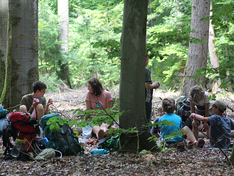 Eseltrekking