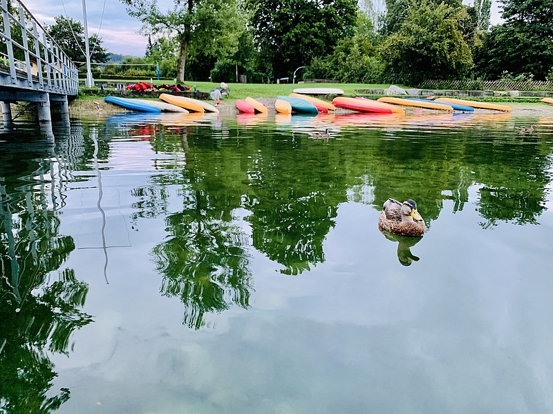 Mit den Kajaks flussabwärts