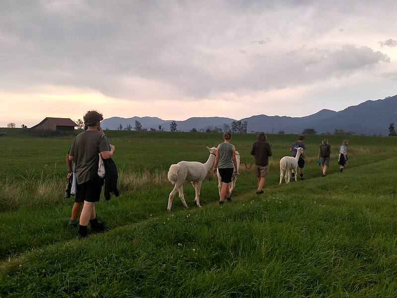 Farmhopping
