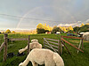 Farmhopping