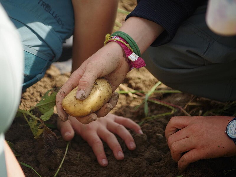 Zeltferien auf dem Bauernhof
