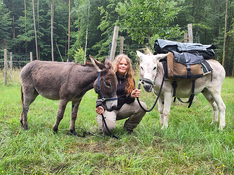 Eseltrekking Sommer