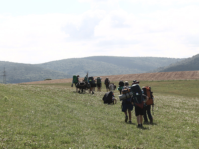 Eseltrekking