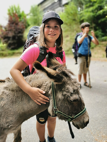 Eseltrekking Pfingsten