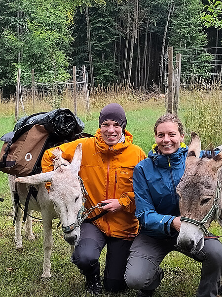 Eseltrekking Sommer