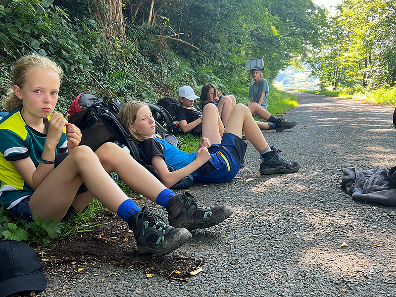 Eselterekking Sommer