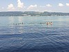 Segelabenteuer am Bodensee