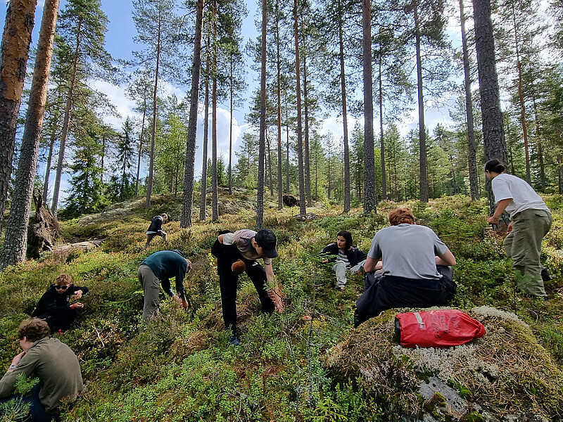 Schweden Total