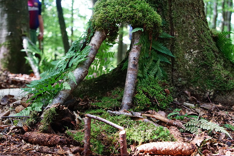 Raus in die Natur