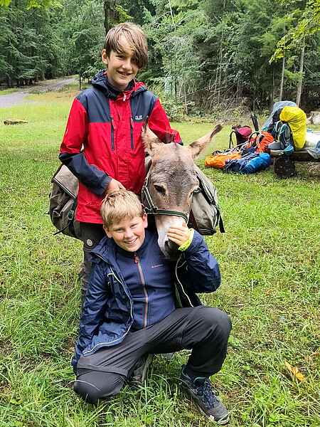Eseltrekking Sommer