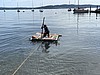 Sommerspaß am Bodensee