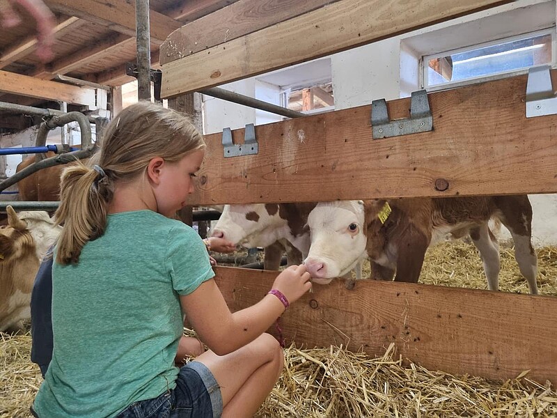 Zeltferien auf dem Bauernhof