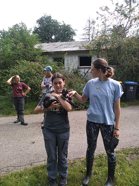 Farmhopping