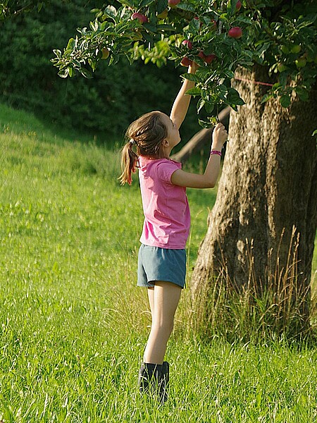 Zeltferien auf dem Bauernhof